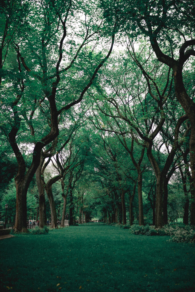 Can Guided Meditation Be Practiced Outdoors Or In Nature?